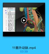 25
直肠系膜筋膜 mesor
六,盐部的血管,湘
(一)助豚
1.監总动脉 common i
2. 醫外动脉extemal B8
25. 3.路内动脉Intemal ilag
旋露深动脉 deep il
随壁下动酥 inferior
[壁下結林]歐骨支
of inferior epigastric ar

37

臀下动誌 inferior gluie
開部内动脉 internal
汇动脉 anal attery
臀上物脉 superigr ei

31

直肠下动脉 inferigr
請洗下动脉inferiat
磨动酥 umbilical arfr
[魅动縣]用塞部 0
[威动鮮」开故都 pal
磨肤上动味weperinr
子富动脉 uterine ane

11髂外动脉.mp4
03:39