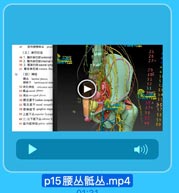 47

前列腺静綠品
(三)淋巴引流

25

48 1. 酷外淋巴结external

26

49 2. 醫内淋巴结intemal

274

50 3. 旺淋巴结sacral lymp
51 路总淋巴结 common ilian

29

(四)神经

C

BEA lumbar plexus

5O F

S

ESit T lumbosacral trun

32

52 闭孔神经 obturator ner
53 IT 44 socral plesus

33

55 R&cncygal plesus
56 质交感干lumbar sympath
57 低交感干 saural sympoll

36A

58 青神经节 ganglion impar

37A

59上腹下丛superior hy pog

3.8

60左、右下腹下丛 inferinr hs

39

61 盆内脏神经 pelvic splan

40

60

p15腰丛骶丛.mp4

01:01