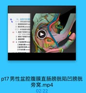 七、盆腔内的腹
(一)男性盆腔内的
1.直肠膀試陷凹rec
2. 膀酰旁窝paraves
(二)女性盆腔内的
62 1. 直肠子宫陷凹rec
又称“道格拉斯粒(
2.膀就子宫陷凹ves
3.膀胱旁窝
3 4. 子宫阔韧带broad
1卵巢系膜mesoval
2输卵管系膜mesc
3子宫系膜mesomt

p17男性盆腔腹膜直肠膀胱陷凹膀胱
旁窝.mp4

02:22