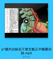 30

臀上动脉 superior glut

41

辦腰动脉 tolumbar arte
紙外侧动脉lateral sacr

31

直师下动脉 inferior re
膀胱下动脉 inferior ve
時动誌 umbilical artery

33

[脐动脉]闲塞部 occlu

34

[除动詠]开故部 pal

35

時読上动脉 superior w1

36

子言动脉 uterine arien

3T

【子宮动縣]卵果支 oNa
[子富动味]論卵管支 二
[子官动脉]開道支 v
阴道动脉 vaginal arte
闹孔动脉 obturator arten

40

6 43 4.低正中动脉median sa
(二)静脉
44

糖內静時: internal iliac ve

45

直肠静脉品 rectal veno

p1髂内动脉后干壁支骶正中髂腰动
脉.mp4

01:51