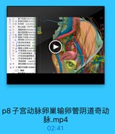 青下动址 inferior gl
21 6 開部內动脉internal
25◎ 江动誌 amal arlery
0 30

費上动脉 waperior g

29

售腰动味 iolumbar an

30

概外側动誌laderal sac

1

31F 直肠下动脉 inferior T
32 ◎ 膀號下动脉 inferior

2

時动脉 wmbilieal are
2(动酵]团塞部 01

34

(○[精动脉]开放部 pales

35

請胱上动脉 waperinr

36

子宫动脉 uterine arl
【子富动味]师巢支 0

38

【子宮动脉]输聯管支

39

子官动脉]開道支 V
開道动酥 vaginal an
闭孔动脉 obturatoe art

0 40

6 43 4.旺正正中动脉median
(二)静脉

p8子宫动脉卵巢输卵管阴道奇动
脉.mp4

02:41