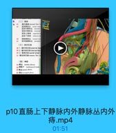 (二)静酥

Nxxx333

44

酷内静味 intemal dine ve
直防静酥品 rectal veno
直藤内静肤品 internal
直肠外静味丛 esserall
直師上静味 superior n
直肠下静酥 inferior ne
勝號静脉品 vesical ven

47

前列龍静酥品 prostatic
(三)淋巴引流
48 1.請外淋巴结eodternal niag
49 2. 體内淋巴结intemal ilac
50 3.低淋巴结sacral lymph
51 瞎总淋巴站 common iline ly
(四》神经
52 R46 lumbar plexus
53 腰薦干 lumbosacral trank
54 ME & sacral plexes
55 尾品 coeeygeal plesus

p10直肠上下静脉内外静脉丛内外
痔.mp4
01:51