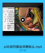 81 2. 输尿管壁内部
82
(四)前列腺
1. 形态与毗邻
前列腺 prosta

83

· 耻骨前列腺

84

◎ 前列腺沟pro
2. 组织学分区
3.血液供应
(五)输精管益

85

输精管 ductus d

86

射精管 ejaculato

87

精爽seminal ve-

p36前列腺血供静脉丛.mp4

01:16