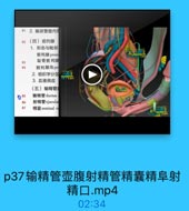 81 2. 输尿管壁内音
82(四)前列腺
1. 形态与毗邻
前列腺prost

83

耻骨前列間

84

前列腺沟pn
2. 组织学分区
3. 血液供应
(五)输精管云

85

输精管 ductus

86

射精管 ejacula

X2

87

精囊 seminal ve

p37输精管壶腹射精管精囊精阜射
精口.mp4

02:34