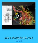 (4)神经支配:
0 0 子宫開道品

GONG YI3.

3.子宫的韧带
N(1)子官岡朝带hr
95 (2)子宫主韧带car
%(3)子宫圆辑带Fou
97 (4)能子宫韧带ute
(七)卵巢
卵果ovary
(八)输卵管
输卵管 uterine tube
(九)附道
明道 vagina
年 阴道弯famix of v

p43子宫阔主骶圆韧带.mp4

04:40