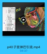 (4)神经支配:
0 9 子宫阴道丛
3.子宫的韧带
09 (1)子官阀韧带hre
● 9 (2)子宫主韧带can
◎ %s (3)子宫圆韧带rou
◎ 9 (4)低子宫韧带ute
(七)卵果
◎界果ovary
(八)输卵管
输界管 uterine tube
(九)阴道
明道 vagina
阴道弯formix of w

p45卵巢输卵管阴道穹.mp4

03:59