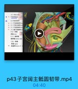 (4)神经支配:
0 0 子宫開道品

GONG YI3.

3.子宫的韧带
N(1)子官岡朝带hr
95 (2)子宫主韧带car
%(3)子宫圆辑带Fou
97 (4)能子宫韧带ute
(七)卵巢
卵果ovary
(八)输卵管
输卵管 uterine tube
(九)附道
明道 vagina
年 阴道弯famix of v

p43子宫阔主骶圆韧带.mp4

04:40