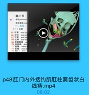 第三节
会阴 perineum
尿生殖区urog
一、肛区
(一)肛管
65 肛管 anal car
66 肛柱 anal co
67 肛窦 anal sin
68 肛瓣 anal va
69 肛直肠线 an
70 齿状线 dent
71 白线
white
72 肛梳 anal po
73 肛门

anus

p48肛门内外括约肌肛柱窦齿状白
线痔.mp4

06:02