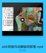 工皮下部,2视
●77 肛提肌 lev
(二)坐骨肛i
781.境界 坐骨
2.窝内的血管
◎ 坐骨肛门窝脂
ischioanal foss
79 阴部内动脉i
80 阴部内静脉in
81 阴部神经 pude
●82 阴部管pudend

二、尿生殖区

p50阴部内动静脉阴部管.mp4

01:35