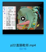 ● 八、盆腔脏器
(一)直肠
0 69 1. 位置和形态 直面
2. 毗邻
3.血液供应、淋巴引
(1)动脉:

70
直師上动脉
superior recta
直肠下动味
inferior rocfal
(2)静脉:

71

直肠上静味
superior roct
直肠下静酥
inferior recta

72

直肠静時品
rectal venous
直師内静脉品 imtemal reg
直肠外静脉丛 external rce
73(3)淋巴引流:
74 (4)神经支配:

EEE

p22直肠毗邻.mp4

02:16