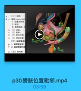 (二)膀胱
0 75 膀胱 urinary blado
1. 位置与形态
2. 毗邻
3.血液供应、洋

76

(1)动脉:

77

(2)静脉:

78

(3)淋巴引流

79

(4)神经支配:
(三)输尿管盆套

80

1. 输尿管盆部
81 2. 输尿管壁内部
82(四)前列腺

p30膀胱位置毗邻.mp4
03:59