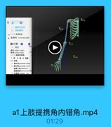 9

上
一、境界与分区
二、表面解刮
4(一)体表标表
提携角 carrying angle
第二节 肩
一、酸区
M区 xillary pegion
味窝 arillary fmass
(一)酸窝的构成
1.酒 2.底 3四糖
(1)前壁:
1 剩大M pectoralis majer
2 陶小腿 pectoralis miner
镇骨下机 =ubclarius
驗胸館膜 clavipectoral Sa
3 Sm l oephalie via

a1上肢提携角内错角.mp4
01:29
