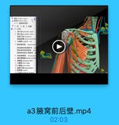 Hi IK asillary reginm
(一)脑窝的构成
●1.項 2底 3四號
4(1)前壁:
1 XA pectoralis majer
2 I/.M pectoralis minor
FML aubelavius
3 519 lk cephalie vein
5 陶扇峰动除 dorscoacro
[碗肩峰动脉]陶肌支 P
[陶肩峰动味]南峰支 acm
[陶卓峰动|]三角肌支 d
6 MM-DA thoracnacm
-7 胸外劑神经Iateral pectomal
9 iilters majer
10 aj.M teses mince
11 麻評下號 wbecapalaeris
12 南興骨scapula
13 th M trilateral farumen

a3腋窝前后壁.mp4

02:03