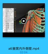 [胸肩峰动酵]三角肌支 del
7 国外售神经lateral pectoral

8S

laU latissinas domi
ILULteres major

B6

10 /h 5i teres miner

37

11 MI FM suhscapalaeis
12 N FF ff scapula

3&

13 =&h7L trilatreal forames
msh7L qarilateral framen
. 16 Bt 1t % 54 M argical nock
17 28E aillary nere

D2

一 1 整肩時动縣
circumflex
19 s01 cincuflen se

13

·20 款監前动酥
anterior hun
旋謝后动誌 posterior hui
14
. 21 12.R.1 098k anicrior hun

5

.

6

23 Rb fi rib
8h 1 BL intercostal muscle

8

a6腋窝内外侧壁.mp4

02:04