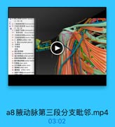 (2)第2段
( 3 2陶外侧动路 Iaterl thanm
◎ (3]第3段
31-1南界下动M eaberapalar at
313 胸背动味 Soracodonall
32 零旋院后动味posterfor bnar
13 信旋械前电M anterior hemn
34 2. BD l axilary vein
35 3. 1/ brachial plexus

wxxx333

36 内侧東
3 外侧東
后東
3 胸外側神经

7U GONG YI3.

梦 肌皮神经 musoalocatanecus
40 国内餐神经 melinl peetaral
4 前臂内侧皮神经 medial am
42 臂內侧皮神经 medial bmachi
43 尺掉经ulnar nerve
44 IE : 20 10 median nerve
45 機神经 radiall nerve
46 瓶神经 axillary nerve
4 肩牌下神经wulcapular ner

a8腋动脉第三段分支毗邻.mp4

03:02
