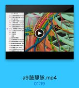 (2)第2段
29 1詢肩峰动脉thoracon
30 2胸外側动絲 latera
(3)第3段
31 肩牌下动脉 subscop
31a 胸背动脉 thoraco
32 2旋誌后动脉 posteri
33 A旋試前动脉antericd o0o3356
0 34 2.酸静除 axillary ve
35 3. 臂丛 brachial ple
36 内侧東
37-外侧束
后束
38 胸外側神经
39 肌战神经 musculocuta
40 陶内侧神经 medial pe
41 前臂内側皮神经 mer
42 臂内側皮神经 medial
43 尺神经 ulnar nerve
-44 正中神经 median nerv
45 楼排线 radinl nerve

a9腋静脉.mp4

01:19
