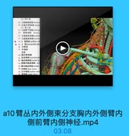 (2)第2段
29 1海肩峰动脉:horaoo
30 2胸外侧动跡 lalera
(3)第3段
31 1D肩拜下动脉sbsc可
312 胸背动脉 thoraco
32 2旋誌后助脉 posteri
33-3旋誌前动脉anterion
0 34 2.胺静脉 axillary VE
0 35 3.臂品brachial ple
36 内侧東
-37 外侧東
后束
38 陶外侧神经
39 肌皮神经 musculocuta
40 胸内侧神经 medinl pe

DAE

-41 前臂内側皮神经 med
42 臂内侧皮神经 medial
43 尺神经ulmar nerve
44 正中神经 median perv px33
45 格抽经 radinl nerve

a10臂丛内外侧束分支胸内外侧臂内
侧前臂内侧神经.mp4

03:08