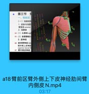 第三节
一、臀前区
(一)浅层结构
1. 皮肤与浅筋
臂前区 anterior
2. 浅静脉
64(1)头静脉cepl
65 (2)贵要静脉b:
3. 皮神经
66 肋间臂神经inte
臂外侧上皮神经
superior lateral br
67 臂内側皮神经

a18臂前区臂外侧上下皮神经肋间臂
内侧皮N.mp4
03:17