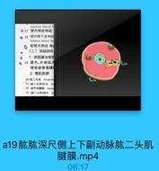 superior lateral b
◎ 67 臂内側皮神经
68 臂外侧下皮神经
inferior lateral br
D
前臂内側皮 神
(二)深层结构
1. 深筋膜与骨能
◎ 69 臂内、外侧肌鱼
臂前部骨筋膜
2. 臂肌前群
70 試二头肌 biceps br
71[腻二头肌]长头 Jon
72 结节问腱箱 intertu
73[腻二头肌]短头
sh

a19肱肱深尺侧上下副动脉肱二头肌
腱膜.mp4

06:17