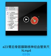 944助间臂神经 intercostob
◎(95)臂内侧皮神经 medial
0 年石前臂后皮神经posterimn
◎(二)深层结构
●971.深筋膜与臂后骨筋膜
2.臂肌后群
a3. 肱骨肌管humeral m
4. 桡神经血管束
(1)桡神经
98[烧神经]肌支
muscular
(2)肱深动脉
99 挠侧副动脉 radial collat
a 中副动味 middle collalc
(3)肱深静脉:
5. 尺神经

a23臂后骨筋膜鞘桡神经血管束尺
N.mp4
03:05