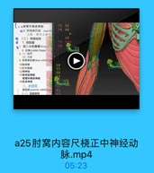 C6·前臂外侧皮神经

75 95

◎4.肘浅淋巴结 superfic

76 96

又称 清车上淋巴

A

6(二)深层结构

98

1.深筋膜

79
99A

07 脑二头肌腱膜bicipital
2.时窝cubltal fossa
8(1)境界
(2)内容
9 时课淋巴结 deep cubital lym
10监动脉

54

11正中神经
12桡神经
13骨间后排经

S6

前臂外侧皮神经
14肌皮神经
二、时后区
时后区 posterior cubital regiu
(一)浅层结构

61

a25肘窝内容尺桡正中神经动
脉.mp4

05:23