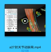 18,时后三角posterior cubital
时外侧三角 Iateral cubitm
19时后窝 posterior cubital fr
三、时关节动脉网
-20 桡侧返动誌 radial rec
21 骨间返动脉 recurren!
artery
22 中副动脉 middle colla
23 桡侧副动脉 radial coll
24 尺側上副动脉 superio
cral artery
25 尺侧下副动脉 inferion
collateral artery
26 尺侧返动誌 ulnar rect
第五节 前 臂
前臂部
一、前臂前区

a27肘关节动脉网.mp4

02:08