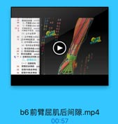 39
40

骨间后动跡 poileria

25

2)尺静脉ulnar veir

50

45

41

3)尺神经 ulnar ner

73 a

尺神经肌支 muscul

61

b
尺神经手背支 dora

31 50

62

(3)正中血管神

63

42 1)正中神经median

93057

72 [正中神经]肌支
2)正中动脉median
(4)骨间前血管神经
43 1)骨间前神经anteri
.69 2)骨问前动味 anterid
70 骨间前静脉 anteric
O 53 4.前臂用机后阅隙pos
二、前腎后区
(一)浅层结构

54

前臂后皮神经 pos

-55

前臂内侧皮神经
56
前臂外侧皮神经

b6前臂屈肌后间隙.mp4

00:57