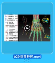 Ad S2

SI

8

三、手背

8d

EI

手背 dorsum of hand

●(一)浅层结构

ET
AT

65 1.手背静脉网dorsal

٢٤٢١

a 掌骨头间静脉 inter
b指背静脉 dorsal di
掌背静脉 dorsal m
c 掌心静脉 palmar n
d指掌侧静脉 palma
e掌深弓静脉 decp
f掌浅静脉弓

super
指掌側总静脉
con

b28手背指背指掌侧静脉掌浅深静
脉弓.mp4

02:21