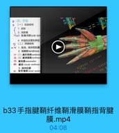 40

四、手指

70

D

(一)浅层结构

72

73

1.皮肤
2.浅筋膜
75@3.指髓间陳pulp spa
4.手指的血管和神经
(二)深层结构
· 76 1.指浅、指深屈肌牌
2. 指鍵箱tendinous
77-(1)键纤维輔tendinous
78 (2)腱滑膜勒tendinou
79 健系膜mesotendon
80 St i# vincula tendinum
3.指伸肌腱
81~指背腱膜 dorsal aponet

b33手指腱鞘纤维鞘滑膜鞘指背腱
膜.mp4

04:08