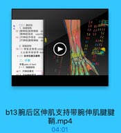 ra

(二)腕后区
1.浅屋结构
13[挠神经]指背神经 do
[桡神经]浅支 superfic

S2

14[尺神经]手背支 dorsi

ra

[尺神经]指背神经 do

8a
O

AEAI

2. 深层结构

2821

15(1)伸肌支持带 extens
又名腕背側韧带 dore

ERTL

a(2)腕伸肌腱及腱鞘

8 E

二、手掌

eE

手掌palm of hand

OAOS

(一)浅层结构
16 1.尺神经掌支
172 正山油经禁吉

b13腕后区伸肌支持带腕伸肌腱腱
鞘.mp4

04:01