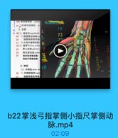 460 背间單例肌 palma

1

47,【手]骨间背側肌
do

5. 血管

1

70

● 48(1)掌浅号 superficial

42

49 1)指拿侧总动脉co

5

72

56

50

指掌侧固有动肤
51 2)小指尺掌侧动脉:

6

6

52(2)掌深号 deep palm
53

掌心动脉pal maru

54

拇主要幼脉 prince

so

55

拇指挠掌侧动脉

51

指尺掌侧动脉

52

com

14
15 34

6. 神经

10

16

(1)尺神经uimar ne

17A

56
1)尺神经浅支super

38

57

指掌側固有神经

6

b22掌浅弓指掌侧小指尺掌侧动
脉.mp4

02:09