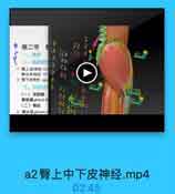a

1

第二节

22 2

一、境界

23 3

二、浅层结

a

IA

a

1 臀上皮神经 suF

02

臀中皮神经 mic

a

8

2 臀下成神经 infc
三、深层结
a

8

A2

(一)深筋膜

22

臀结膜 gluteal fa
(二)臀肌

82

3 臀大肌 gluteus

T2 8AE 17

a2臀上中下皮神经.mp4
02:45