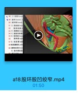 48 2)股管femara
0 49 股环femorul ri
50 股环隔 femoral
51 3)股动脉femon
52 股课动脉d
53 4)股静脉femon
54 5)腹股沟深淋日
55 6)股神经femon
56 隐神经saph
57 5. 收肌管 add
58 收肌維裂孔 addn
59 滕降动脉desce
6.股内侧区的

2n

a18股环股凹绞窄.mp4

01:50