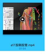 10

(3)后骨筋膜報
●41 3.机腔隙与血
● 落耻弓 Hopectit
42(1)肌腔隙 lact
43(2)血管腔隙1
、44 耻骨梳韧带pec
● 45 腔陳辅带lacuna
● 46 4. 設三角ferng

Y

(1)境界
(2)内容
● 47 1)股销femaral
48 2)股管femoral
49 股环 femoral ri
50 股环隔femoral

a17股鞘股管.mp4

01:54