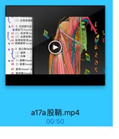 (3)后骨筋膜粉
● 41 3.机腔隙与血
●膳号 Hopectir
42(1)肌腔陳lac

(43(2)血管腔隙工

S

、44 耻骨梳韧 带pec
●45 腔薄韧带 lacuna
● 46 4. 股三角femg
J

(1)境界
(2)内容
● 47 1)股箱femoral
48 2)股管femora
49 股环 femoral ni
50 股环隔femorl

a17a股鞘.mp4
00:50