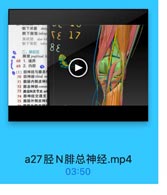 航下深囊 dee
下脂垫 infrap

TE 17

翼状裝 alar fol
歡下皱装 infra

8 &

二、藤信区
脂窝 popliteal f
68 1. 境界
69 2.内容
D(1)胫神经与腓总干
70 胫神经tibial ne
71 離肠内侧皮神
72 腓总神经comm
73 腓总N关节支 art
74 腓神经交通支
75 腓肠外侧皮神乡

a27胫N腓总神经.mp4

03:50