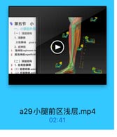 第五节 小
一;小腿前外侧
(一)浅层结构
1.浅静脉
大隐静脉

great s

2. 皮神经
1 隐神经saphenous n
2 腓浅神经superficial
(二)深层结构
3 1.前骨筋膜箱
4(1)胫前动脉anter
5 (2)轻前静脉 anten

a29小腿前区浅层.mp4

02:41