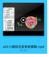 (一)浅层结构
1.浅静脉
大隐静脉
great sa

2.皮神经
14 隐神经saphenous nen
2●腓浅神经superficial
●(二)深层结构
3 1.前骨筋膜鞘
4 (1)脱前动脉 anteric
5 (2)歷前静脉 anterid
6
(3)腓深神经deep F
7
2. 外側骨筋膜箱
8

腓浅神经 superficial

a30小腿前区前骨筋膜鞘.mp4

07:23