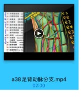 25 外踩前动脉 latc

L26 内課前动脉 meg

ee

27 外課支 [腓动用
●28 内課支 【腔后品

e2

29 跟外侧支[腓动具
30 跟内侧支[腔后

e4

31 器外侧动脉 latc
附內側动脉 mel

e3

●32 跟网
calcaneal

33
外踝网 lateral m

e

内躁网 medial n
◎ 34 弓状动脉

arcu

e

35 點背动脉

dorsa
36 趾背动脉[跖背动
37 足底课支 deep brn
30

a38足背动脉分支.mp4

02:00