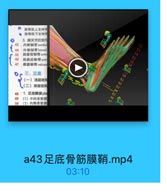 排骨順上支持带
● 腓骨肌下支持带
3.課关节的韧带
43

内侧韧带 medinl

44

外侧辑带lateral

45

距排前韧带ante

46

距腓肩韧带 post
跟腓韧帶 calean
三、足底

60

(一)浅层结检

61

(二)深层结构

62

48

1. 足底健膜pla

65

49
(1)中间骨筋膜

50

(2)内側骨筋膜

a43足底骨筋膜鞘.mp4

03:10