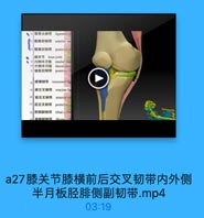 a27膝关节膝横前后交叉韧带内外侧
半月板胫腓侧副韧带.mp4