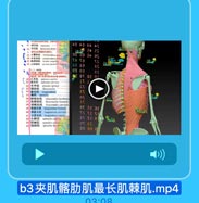 夹 肌 髂 肋 肌 最 长 肌 棘 肌 .mp4