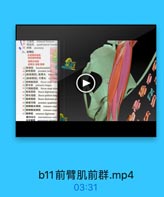 前 臂 肌 前 群 .mp4