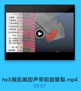 喉 肌 喉 腔 声 带 前 庭 襞 裂 .mp4