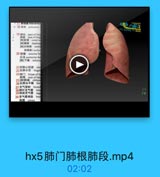 肺 门 肺 根 肺 段 .mp4