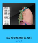 脏 壁 胸 膜 隐 窝 .mp4