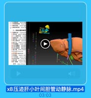 x8压迹肝小叶间胆管动静脉.mp4