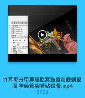 t1耳郭舟甲屏艇腔窝鼓室前庭蜗窗面神经管突锤砧镫骨.mp4