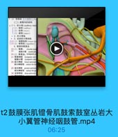 t2鼓膜张肌镫骨肌鼓索鼓室丛岩大小翼管神经咽鼓管.mp4