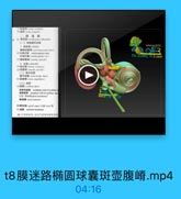 t8膜迷路椭圆球囊斑壶腹嵴.mp4